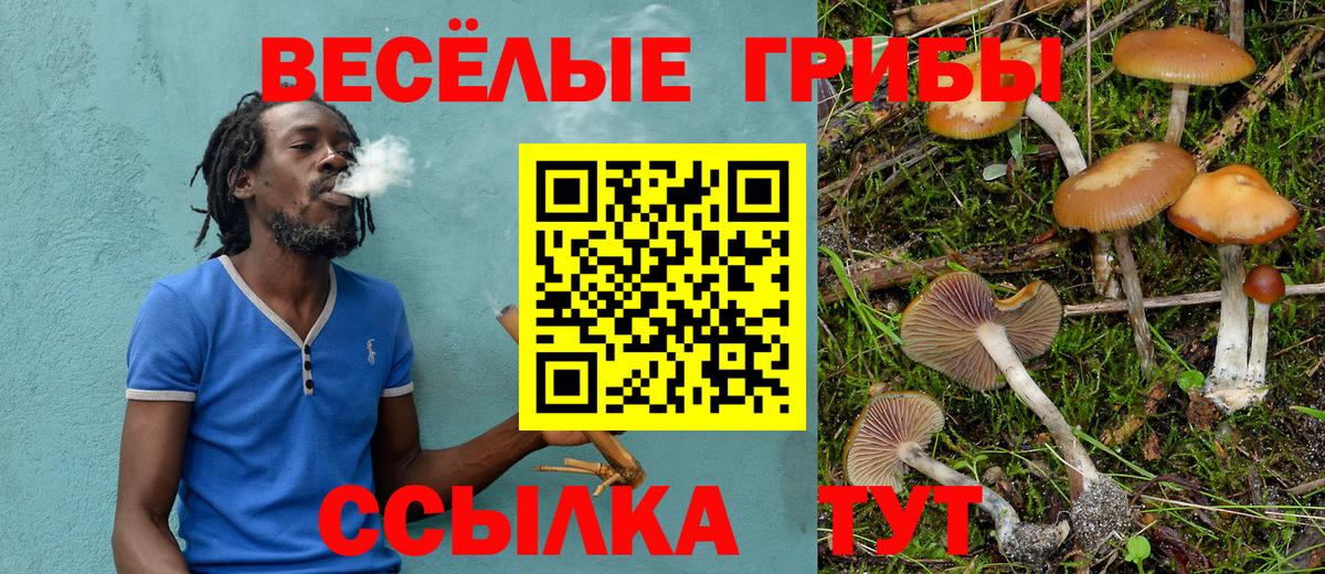Псилоцибиновые грибы Magic Shrooms Щёлково