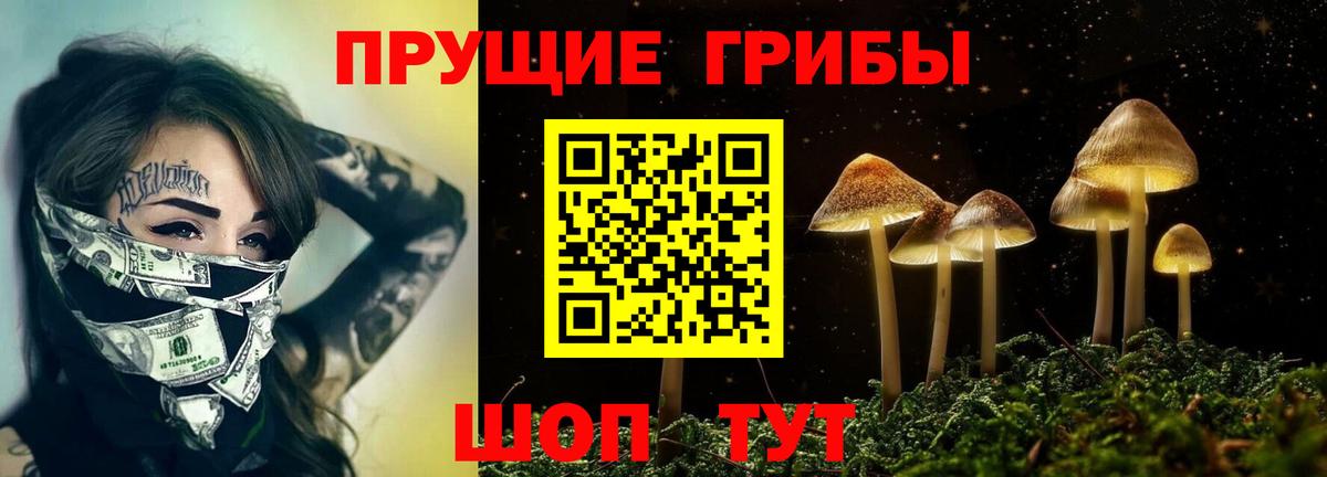 где купить   Галлюциногенные грибы MAGIC MUSHROOMS  Вход с VPN  Галлюциногенные грибы Cubensis  Щёлково 