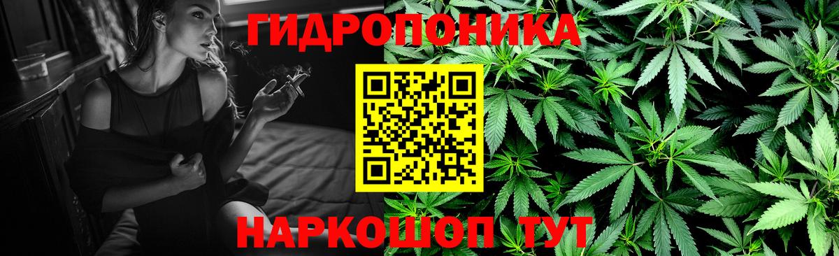 Шишки марихуана OG Kush  Вход с VPN  Щёлково  Марихуана LSD WEED  Шишки марихуана тримм 